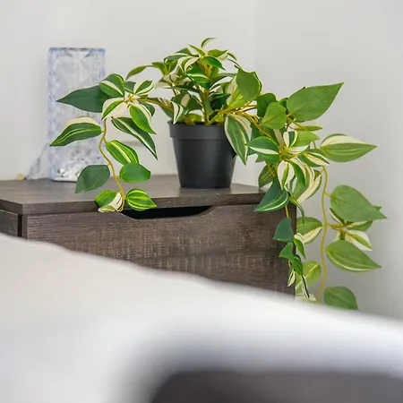 Quartz Signature Apartment *