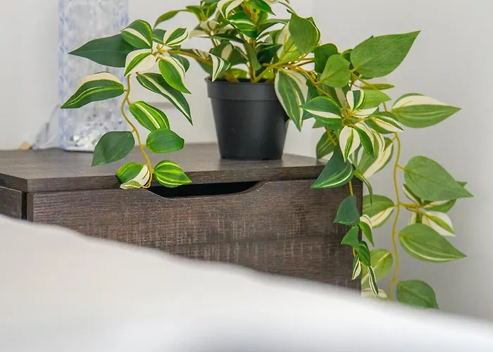 Mackenzie Signature In Appartement *